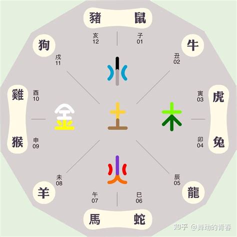 生肖 五行|十二生肖与五行的对照表 十二生肖代表什么五行